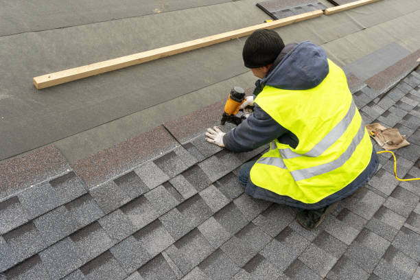 Best Solar Panel Roofing Installation  in Osakis, MN