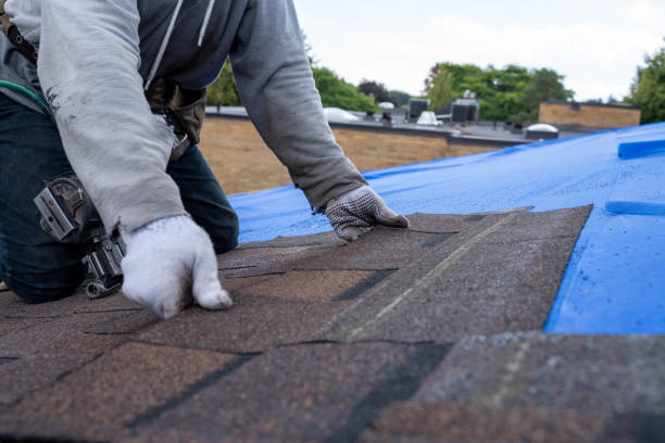 Best Rubber Roofing (EPDM, TPO)  in Osakis, MN