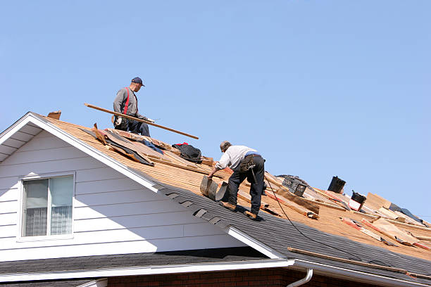 Best Chimney Flashing Repair  in Osakis, MN